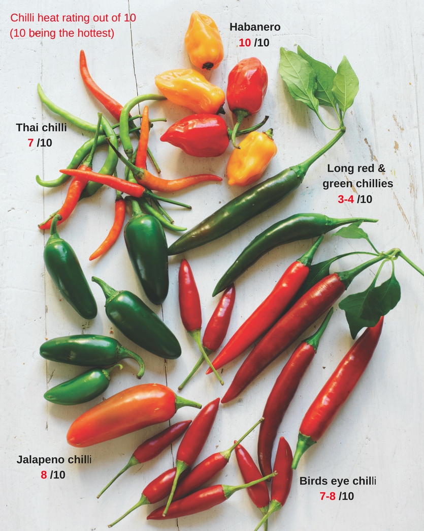 Types Of Chili Peppers Chart